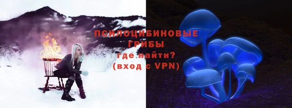 бошки Арсеньев