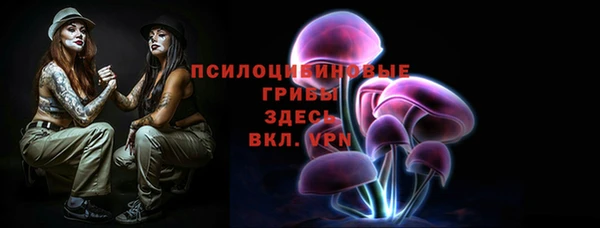 бошки Арсеньев