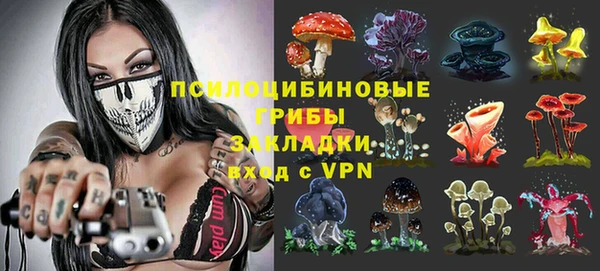 бошки Армянск