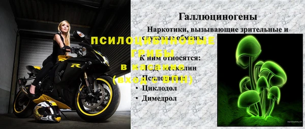 бошки Арсеньев