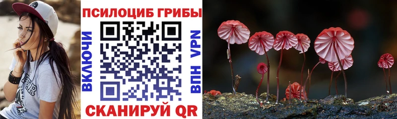 Псилоцибиновые грибы мицелий  blacksprut онион  Афипский 